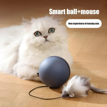 Smart Interactive Cat Toy – Motion-Activated Teaser Ball with Mouse Attachment
